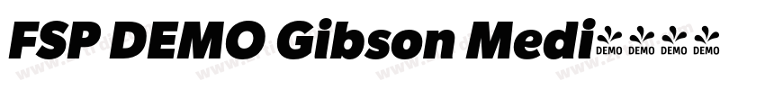 FSP DEMO Gibson Medi字体转换